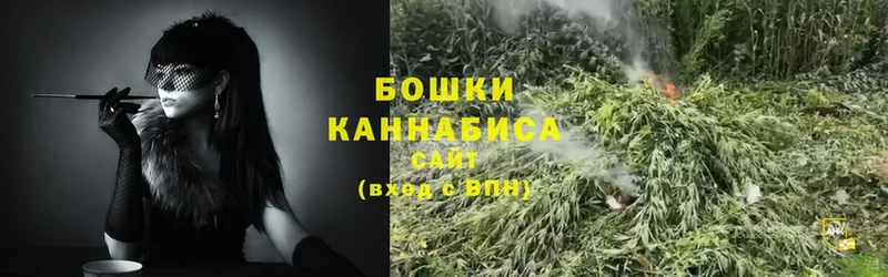 как найти закладки  Опочка  MEGA ссылки  Шишки марихуана OG Kush 